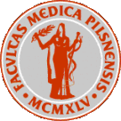 XVI. plzeňský den